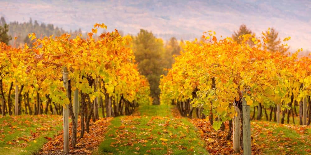 Herbst in der Region Neckar-Alb