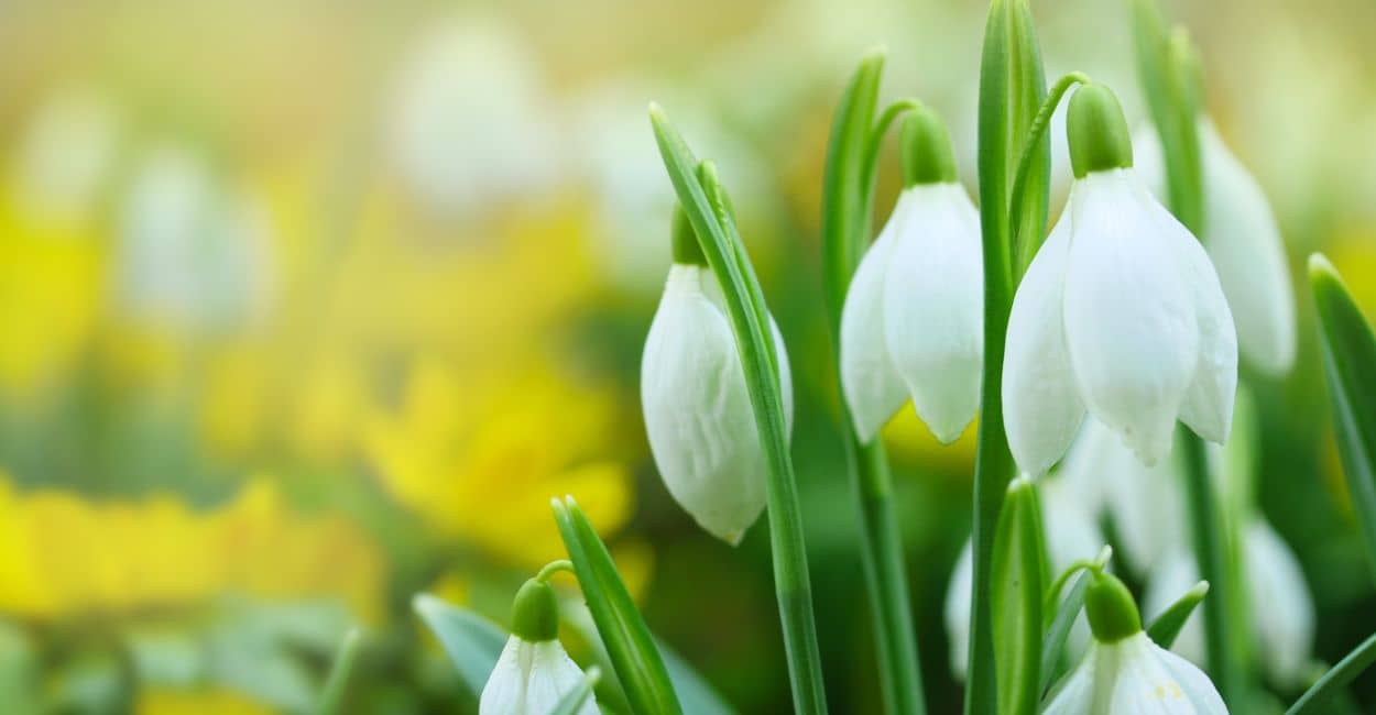 Frühling in der Region Neckar-Alb